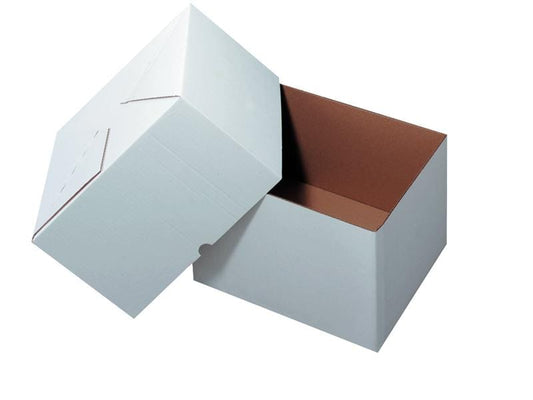 Antalis Carton d’expédition 30.5 x 22 x 20 cm 2 pièces, 25 pièces, Blanc