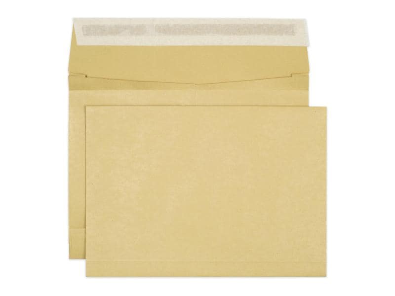 ELCO Enveloppe Plis de papier B4 Brown sans fenêtre, 250 pièces